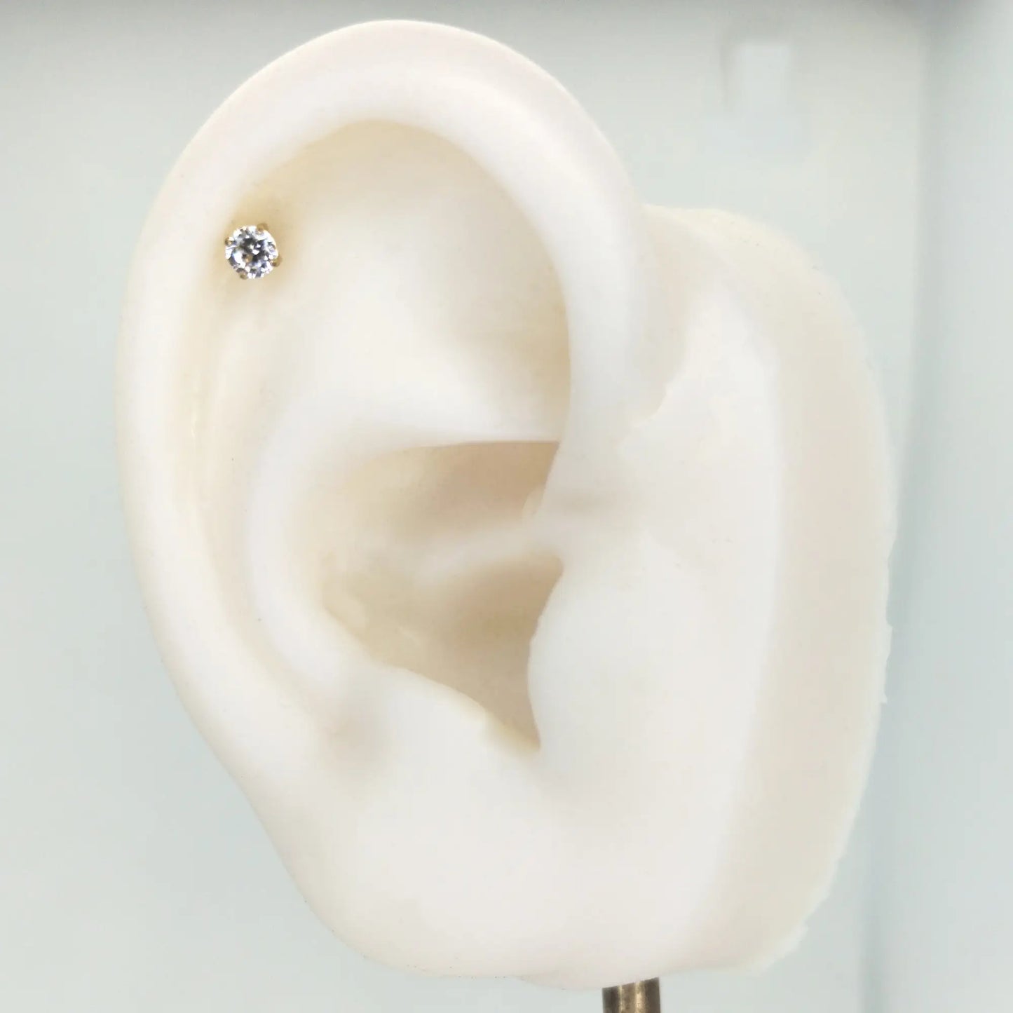 Piercing labret en titane ASTM F-136 finition PVD Or, présenté sur l'hélix d'une oreille artificielle