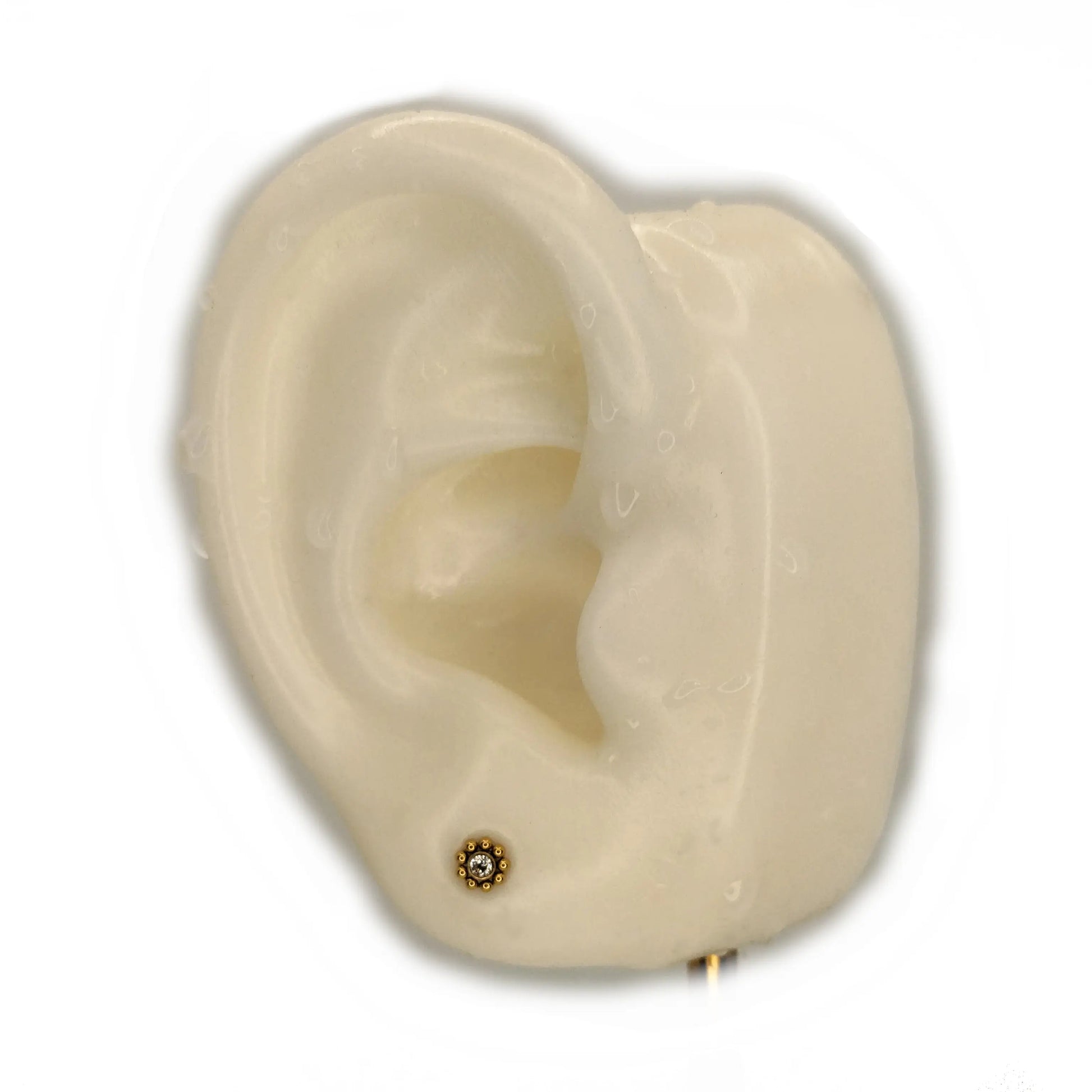 Piercing labret Aurora porté sur lobe - Design floral avec zirconium