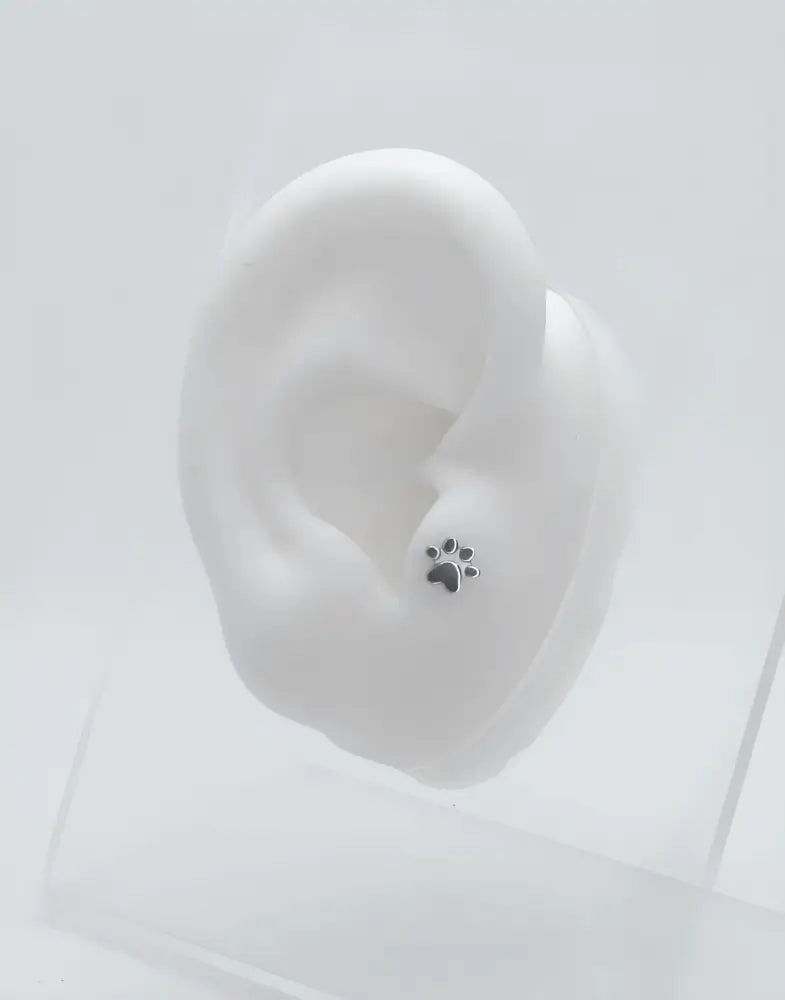 piercing tragus patte