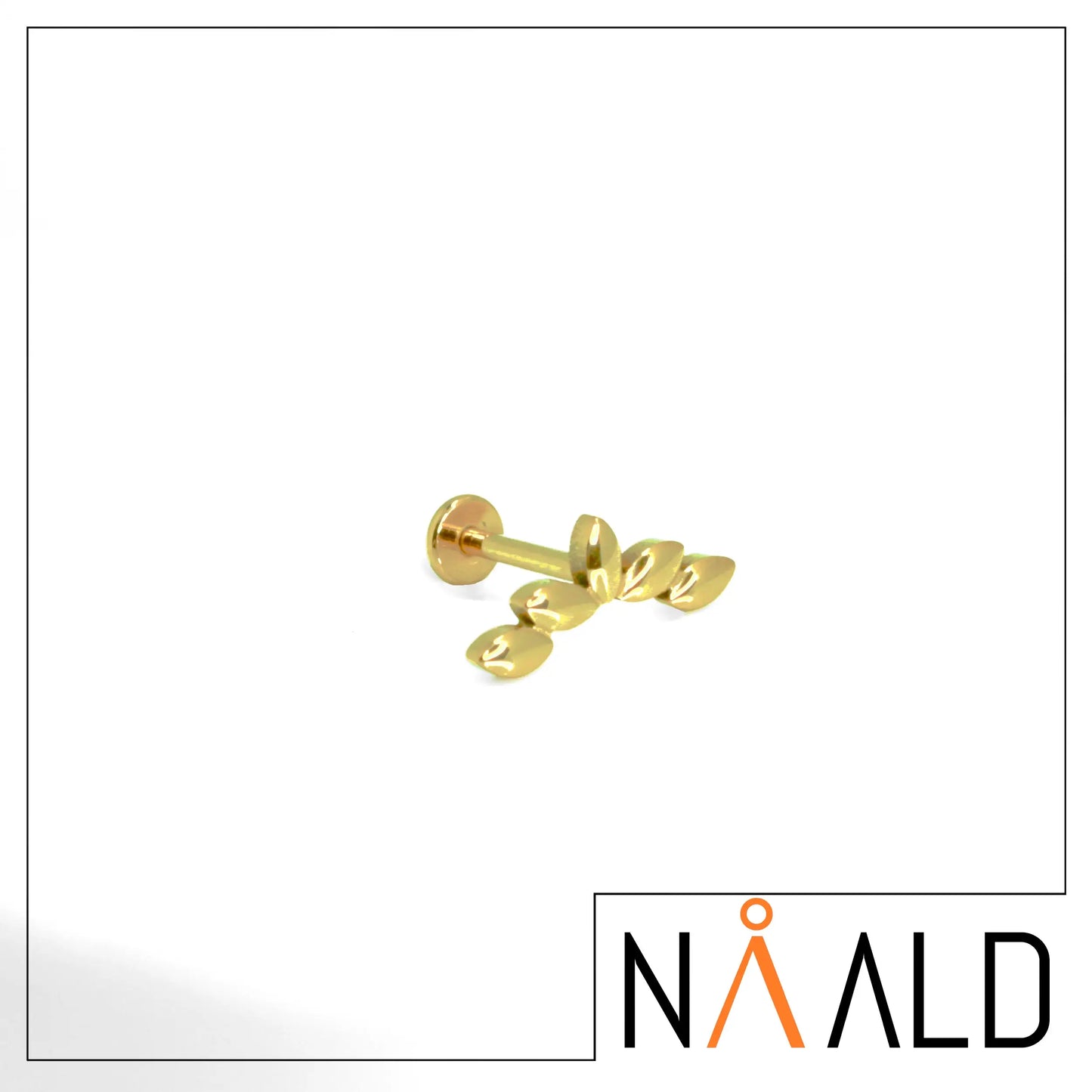 labret cluster PVD or