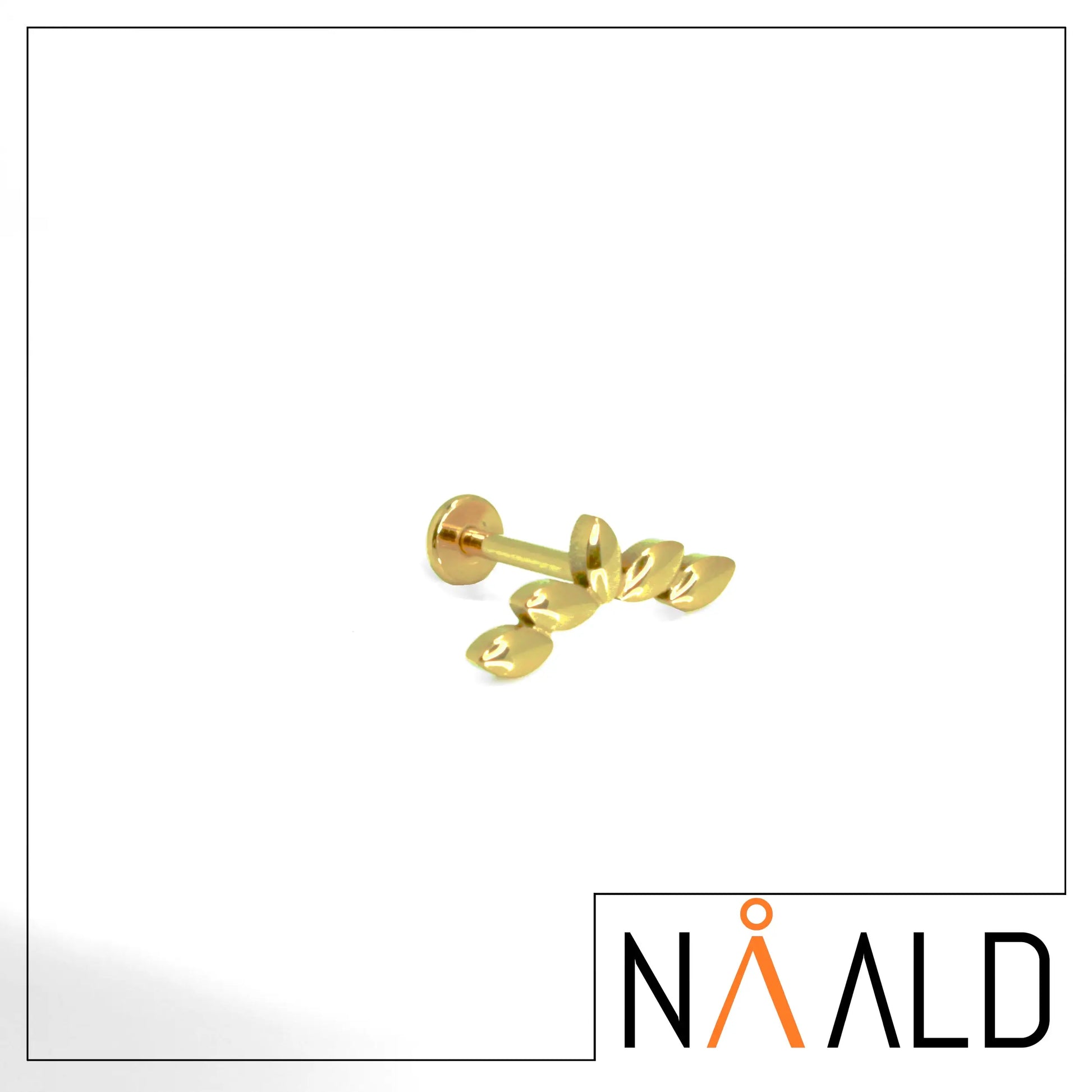 labret cluster PVD or