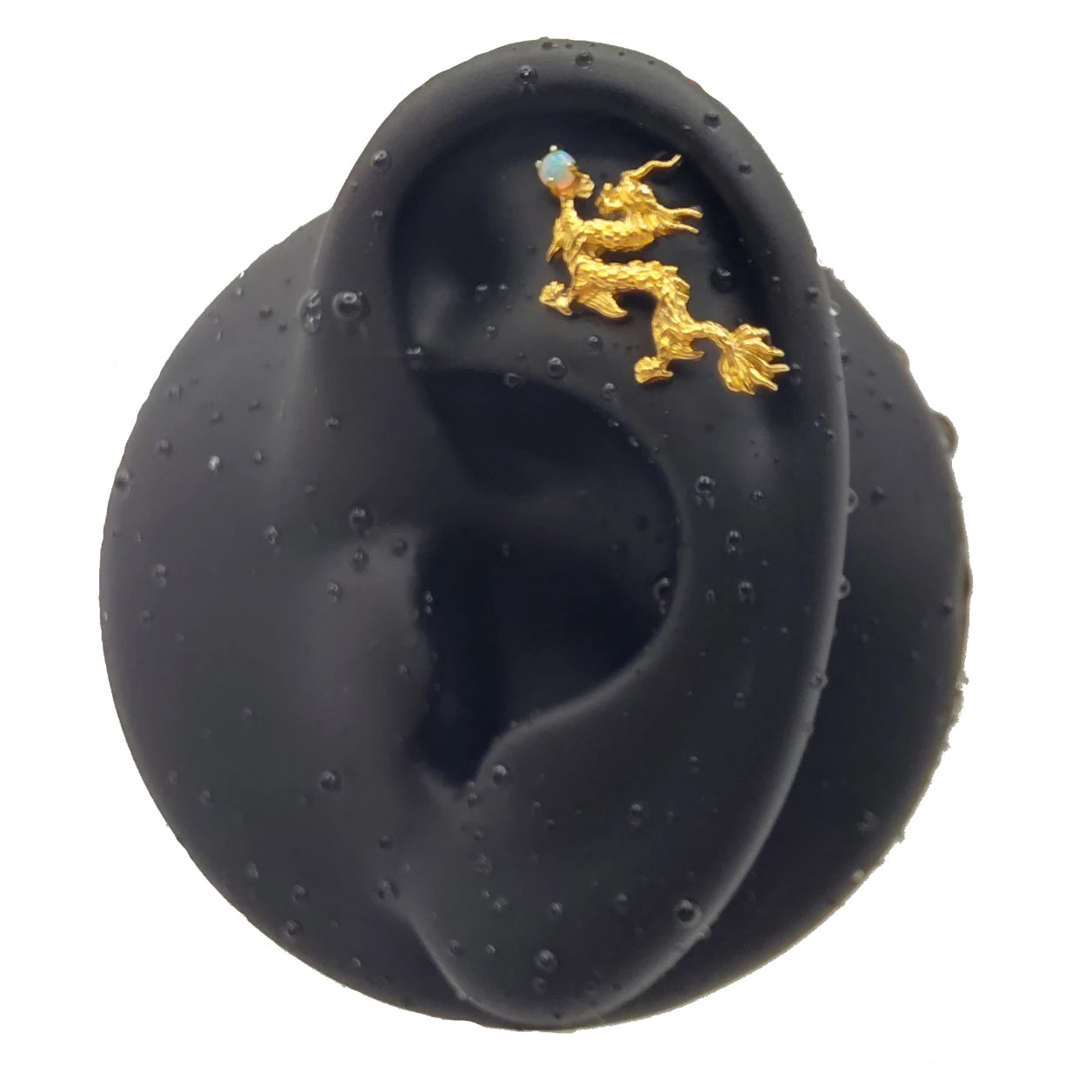 Piercing labret dragon titane ASTM F-136 porté sur l’oreille, finition dorée PVD or