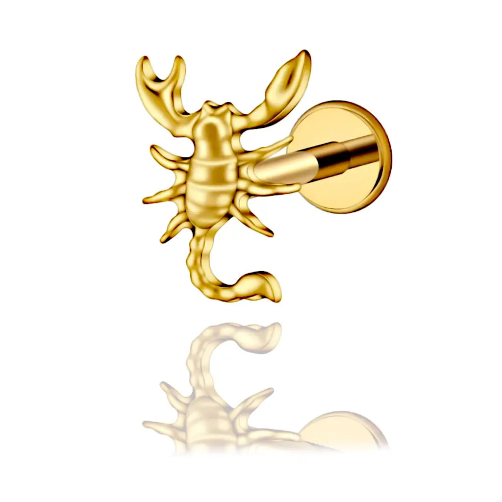 Piercing oreille homme labret en titane ASTM F-136 en forme de scorpion - Vue de présentation
