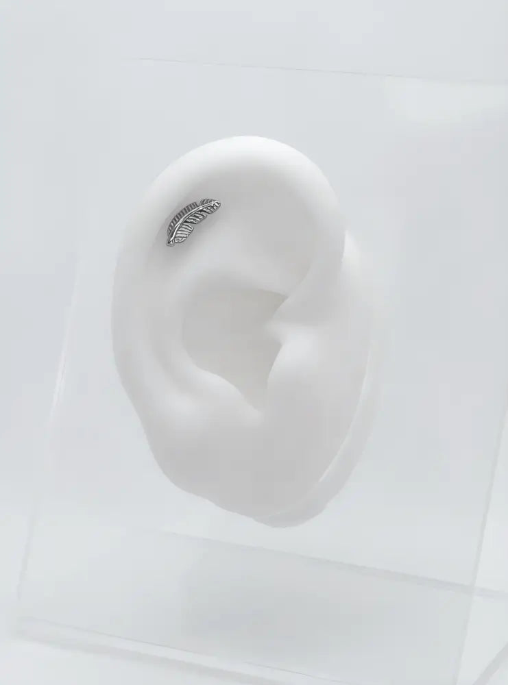 piercing hélix plume titane