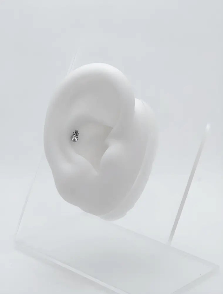 piercing conch brillant titane