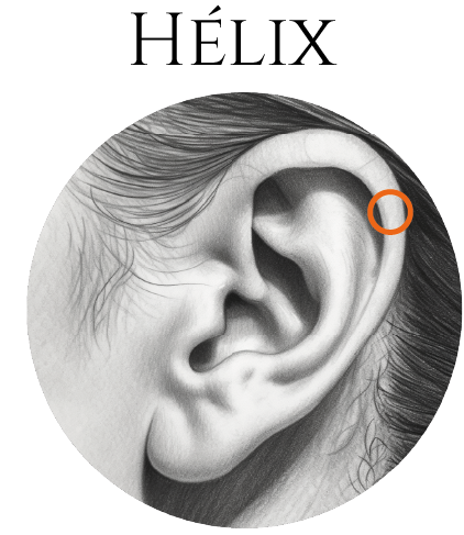 Helix Guide Piercing à l'hélix : le guide complet – Naald Piercing