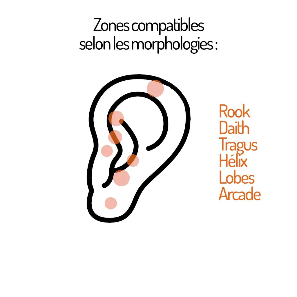 Zones compatibles pour le piercing Trinova - idéal pour le rook et autres piercings d’oreille