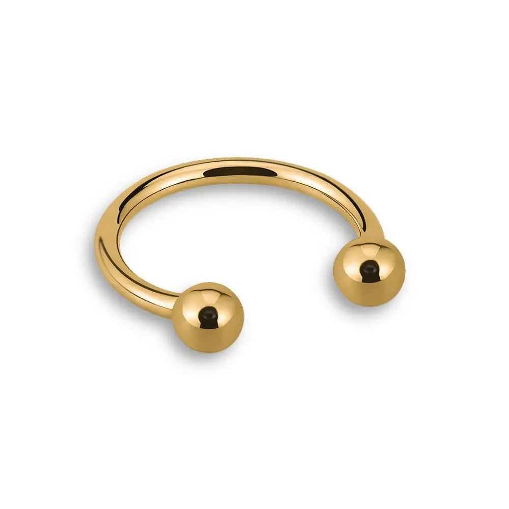 Piercing Fer à Cheval En Titane 14G (1,6mm) – Balle 5mm – Intérieur 13mm – Neuf Sans Boîte