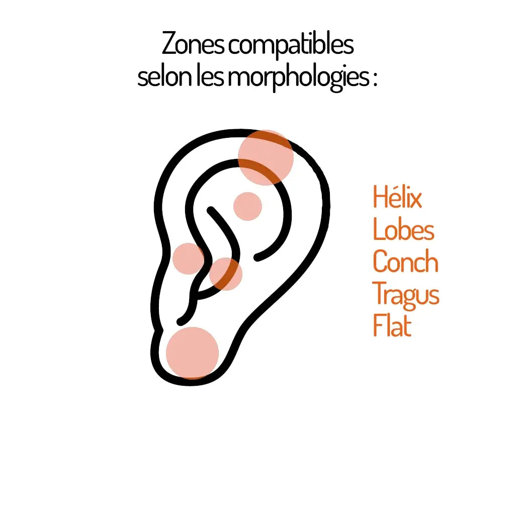 Zones compatibles pour le piercing labret Aurora - Adapté au lobe et cartilage