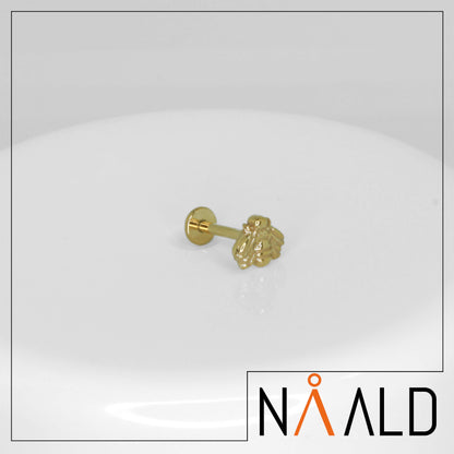 Nåald | Piercing titane abeille finitions PVD Or