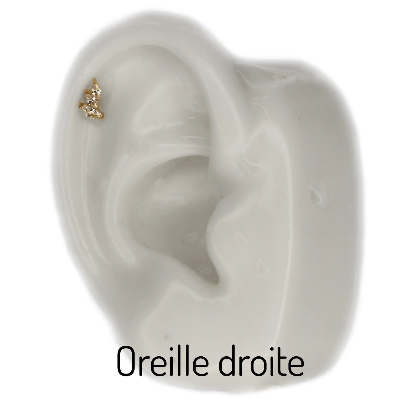 Ovidia