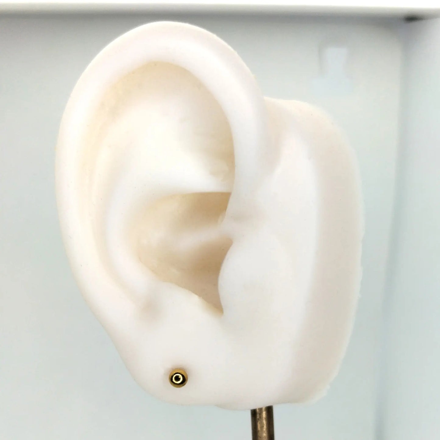 Piercing labret simple en titane avec finition PVD or, présenté sur le lobe d'une oreille artificielle