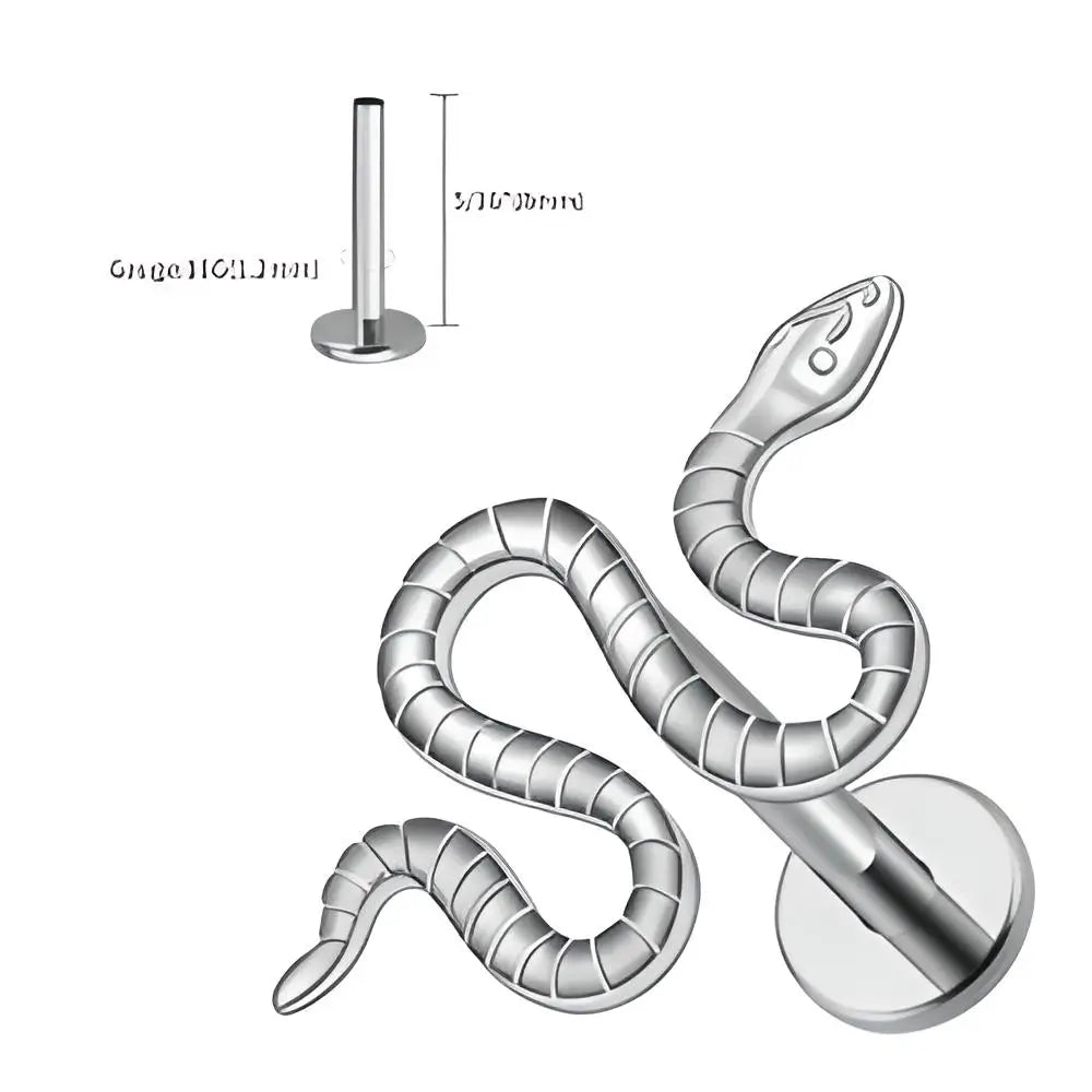 Présentation des dimension d'un Piercing serpent en titane pour hélix