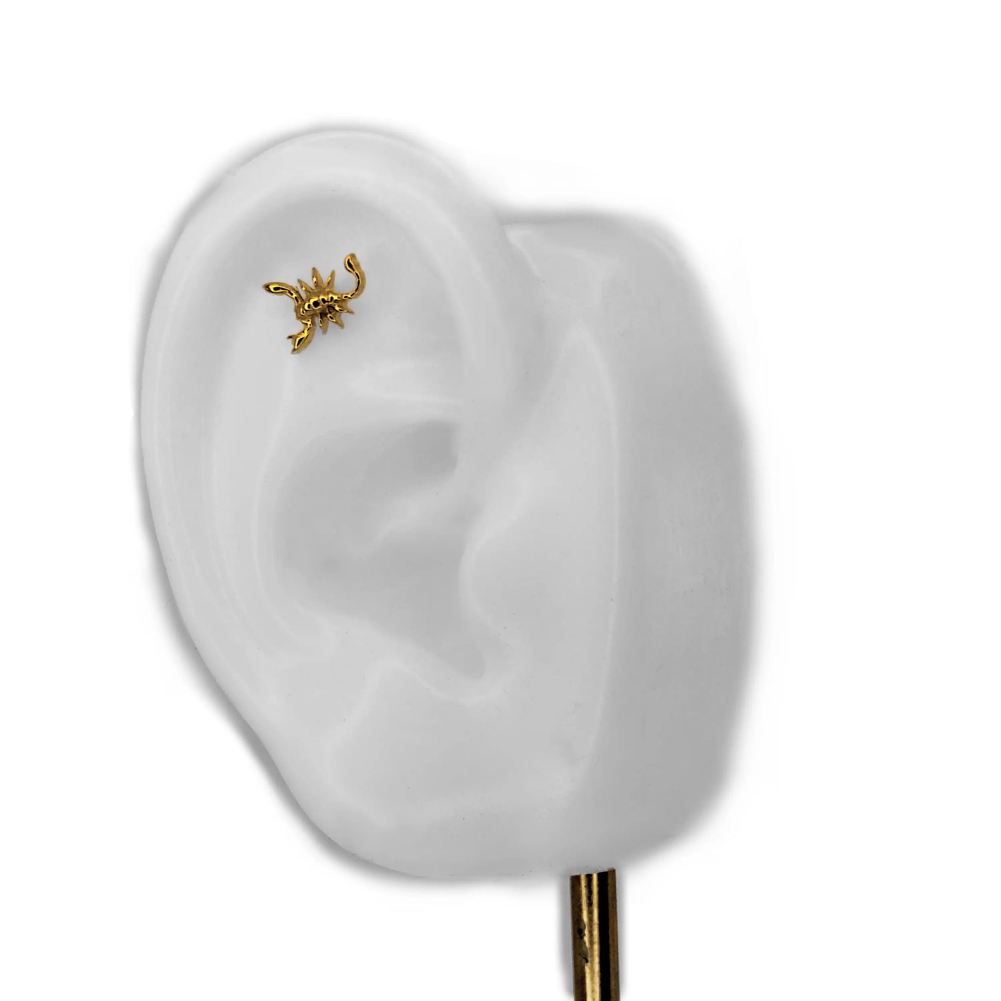 Piercing labret en titane en forme de scorpion porté sur le flat d'une oreille en silicone